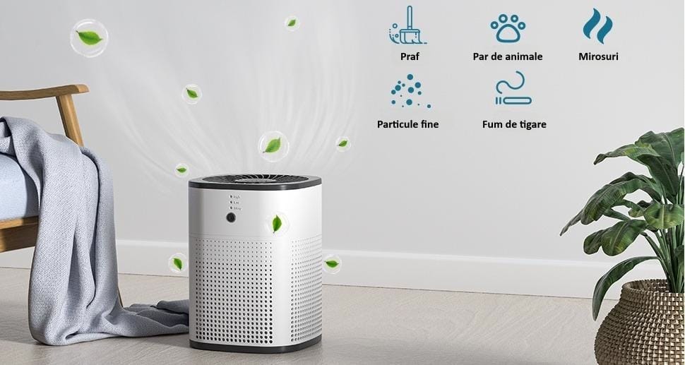 purificator de aer anti mirosuri