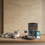 Hrănitor automat PAWTY pentru pisici, controlat din aplicație, prezentat alături de telefon și animalul de companie.